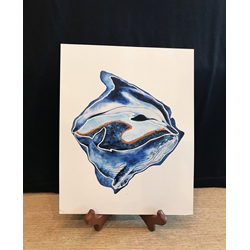 Big Island Dolphin And Whale 8x10 Art Print